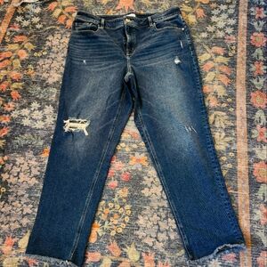 Lane Bryant flex magic waistband signature fit high rise girlfriend straight leg